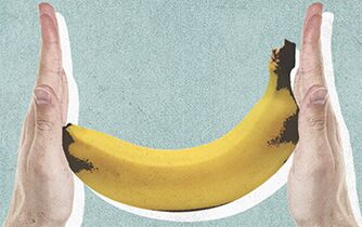 The size of the penis for the banana's example