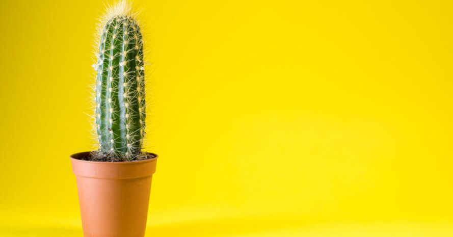 After enlargement surgery, you may feel discomfort in the penis