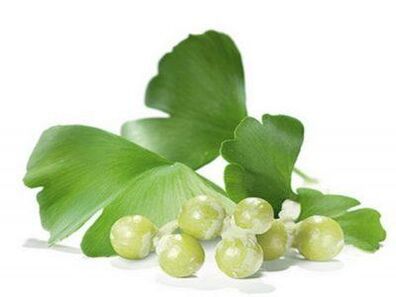 Male potency becomes more powerful after the use of Ginkgo biloba
